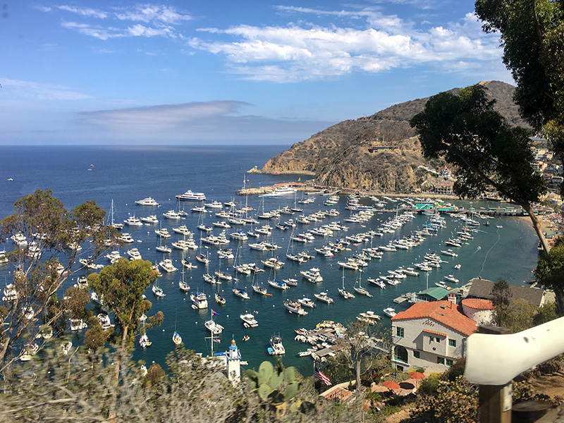 blog_catalina_アバロン市街地