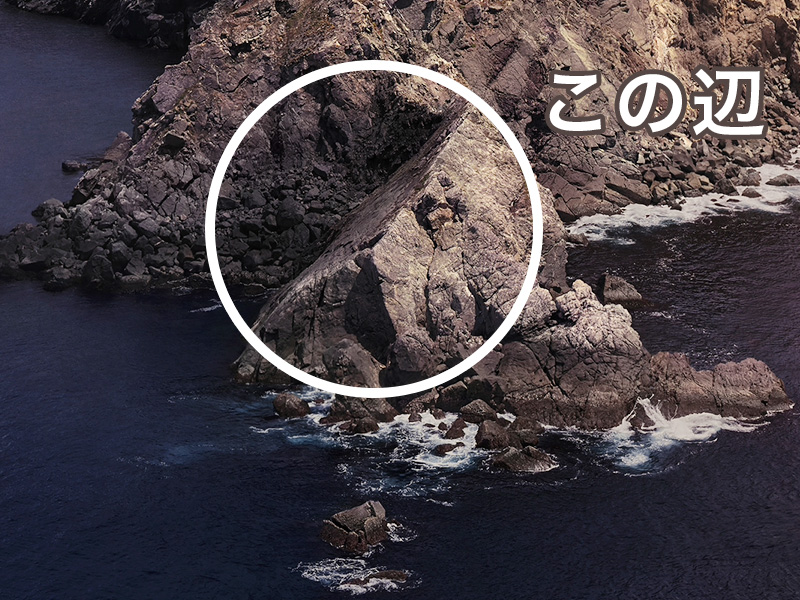 blog_catalina_カタリナ島の斜面