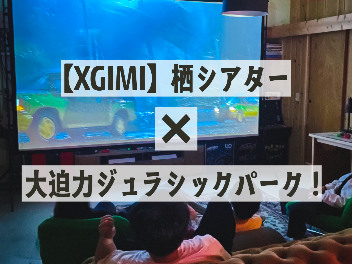 栖で映画鑑賞会