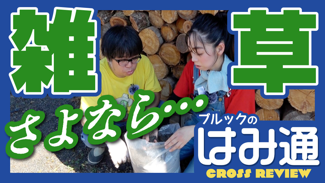 YouTubeサムネ_雑草